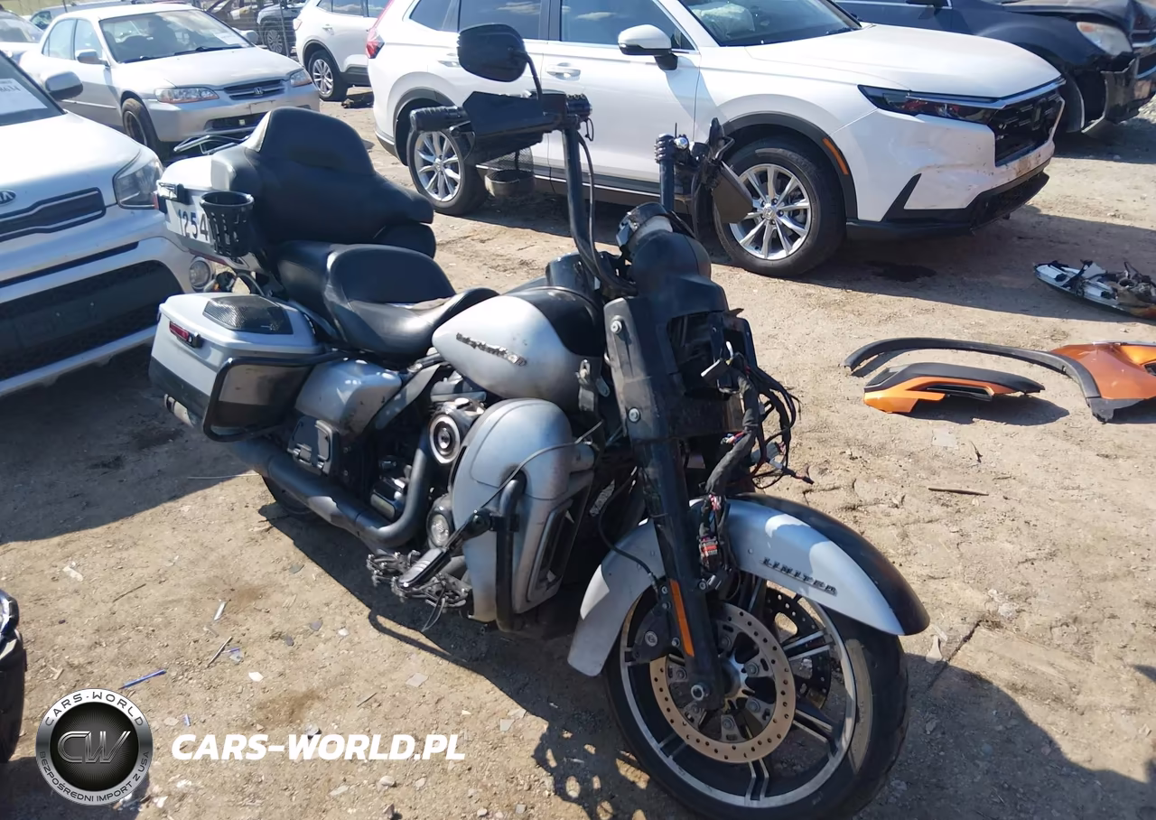 2020 Harley-Davidson Fltrk VIN:1HD1KZF16LB626808 - 1