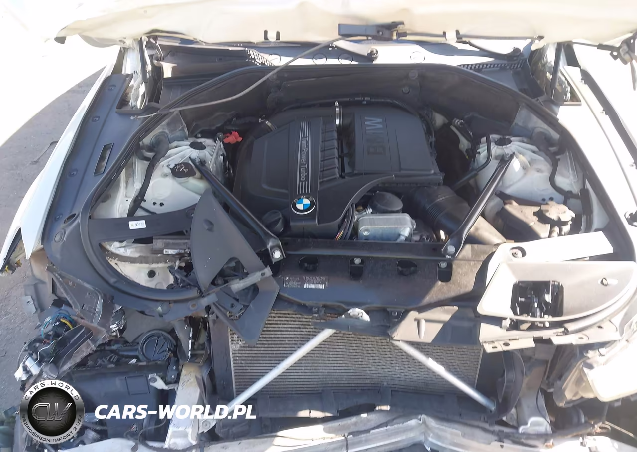 2013 BMW 535I Gran Turismo VIN:WBASN2C54DC202970 - 10