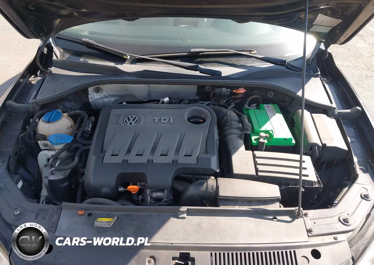 2013 Volkswagen Passat 2.0L Tdi Se VIN:1VWBN7A34DC061039 - 10
