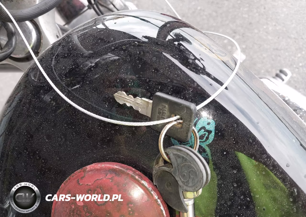 1999 Harley-Davidson Xl1200 VIN:1HD1CAP11XK137123 - 11