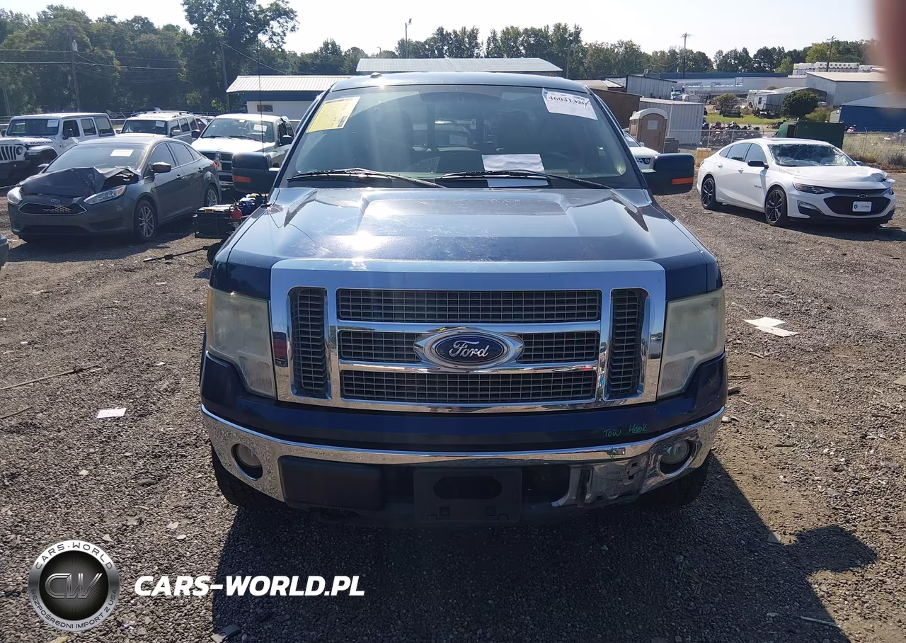 2010 Ford F-150 Fx4-Harley-Davidson-King Ranch-Lariat-Platinum-Xl-Xlt VIN:1FTFW1EV9AFB27783 - 12