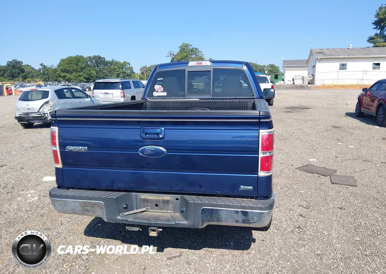2010 Ford F-150 Fx4-Harley-Davidson-King Ranch-Lariat-Platinum-Xl-Xlt VIN:1FTFW1EV9AFB27783 - 16