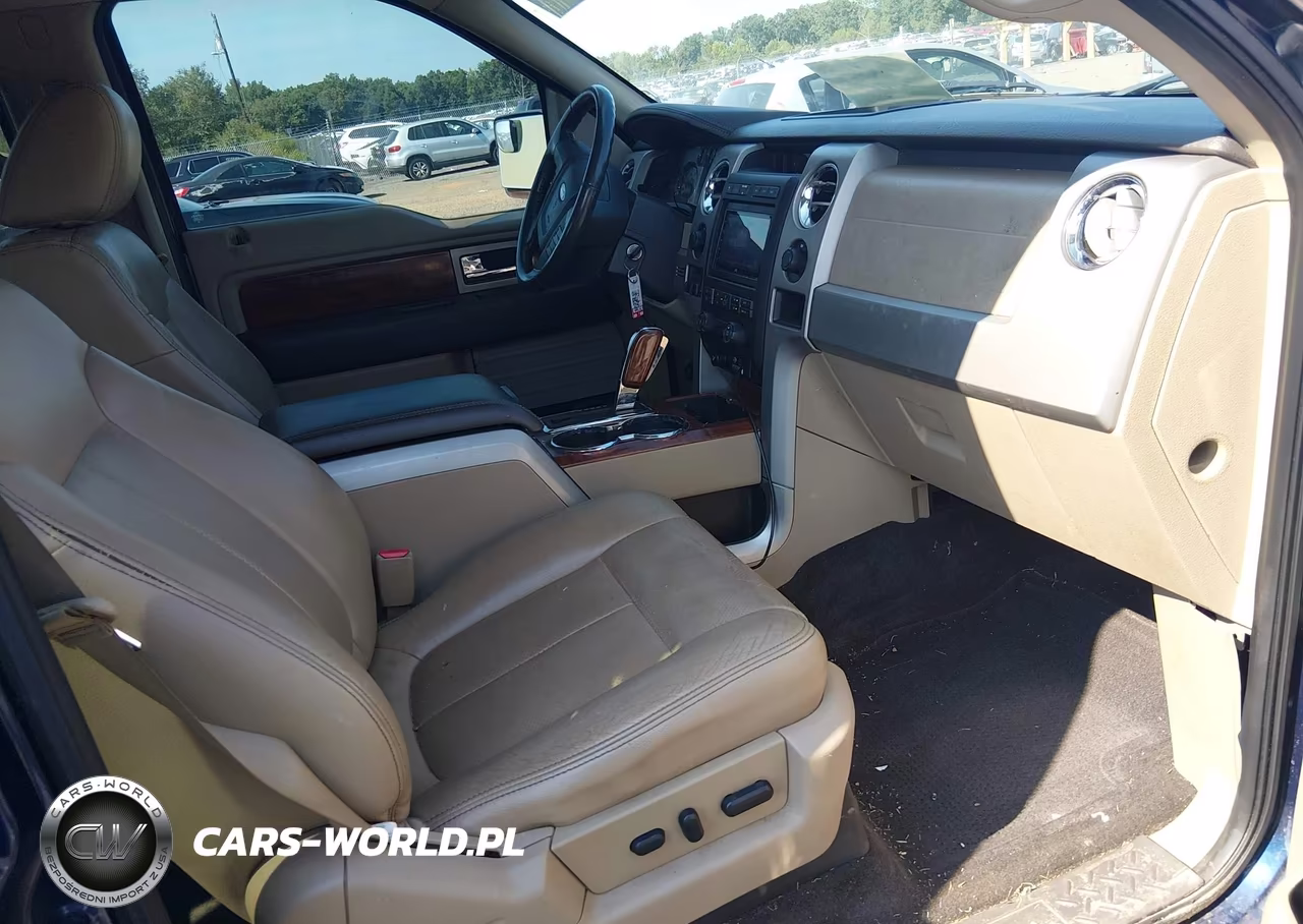 2010 Ford F-150 Fx4-Harley-Davidson-King Ranch-Lariat-Platinum-Xl-Xlt VIN:1FTFW1EV9AFB27783 - 5
