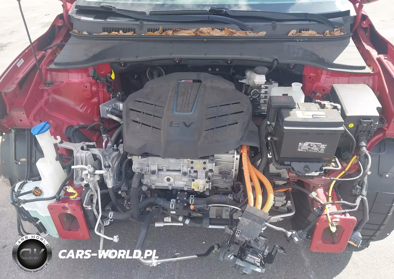 2019 Hyundai Kona Ev Ultimate VIN:KM8K53AG2KU023133 - 10