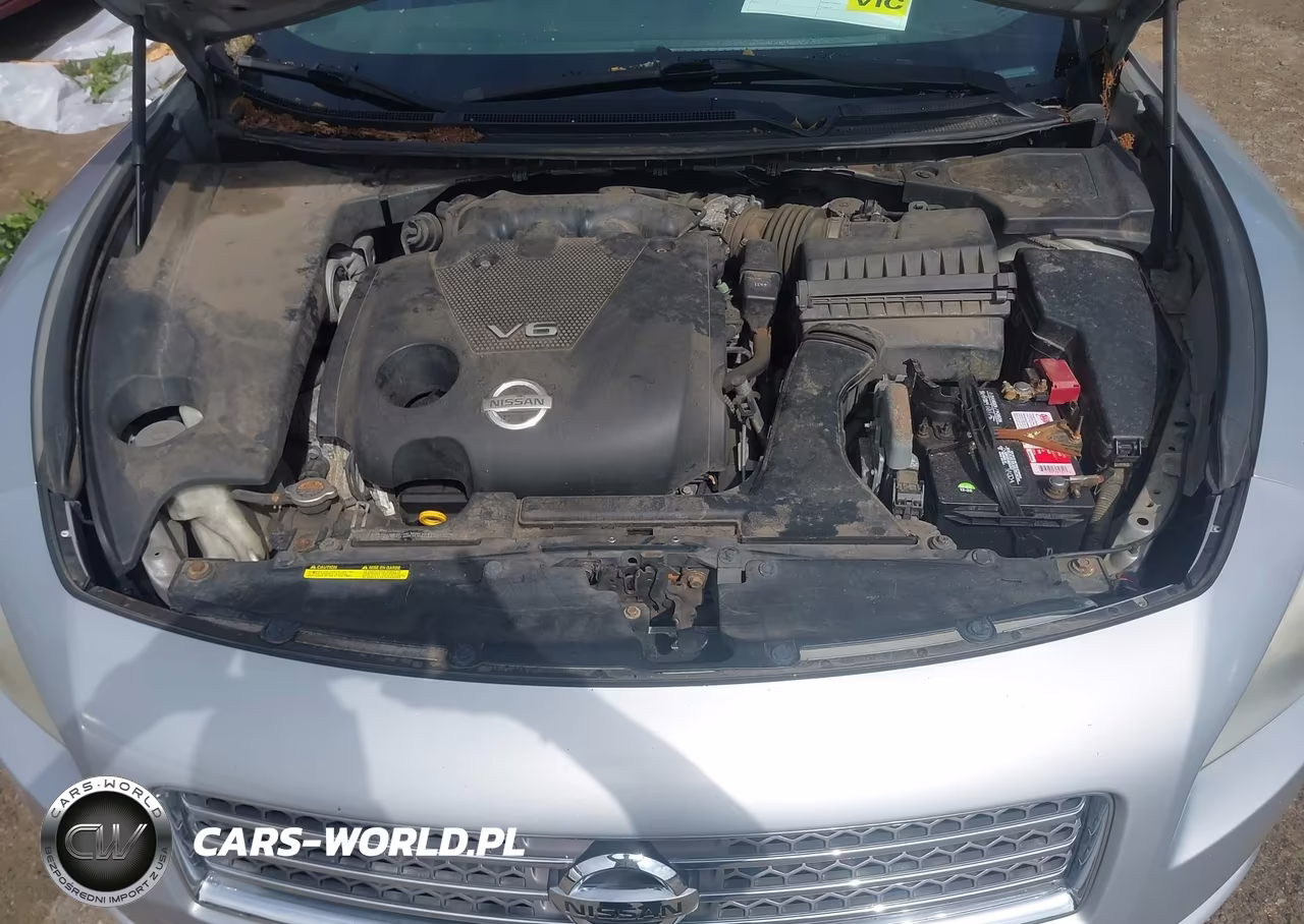 2009 Nissan Maxima 3.5 S VIN:1N4AA51E89C843809 - 10
