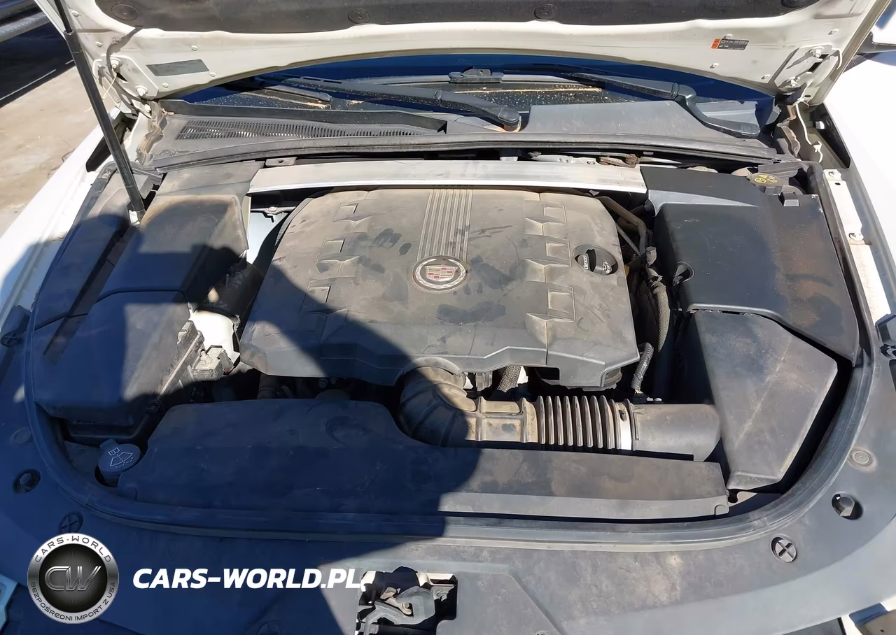 2013 Cadillac Cts Luxury VIN:1G6DE5E53D0103684 - 10