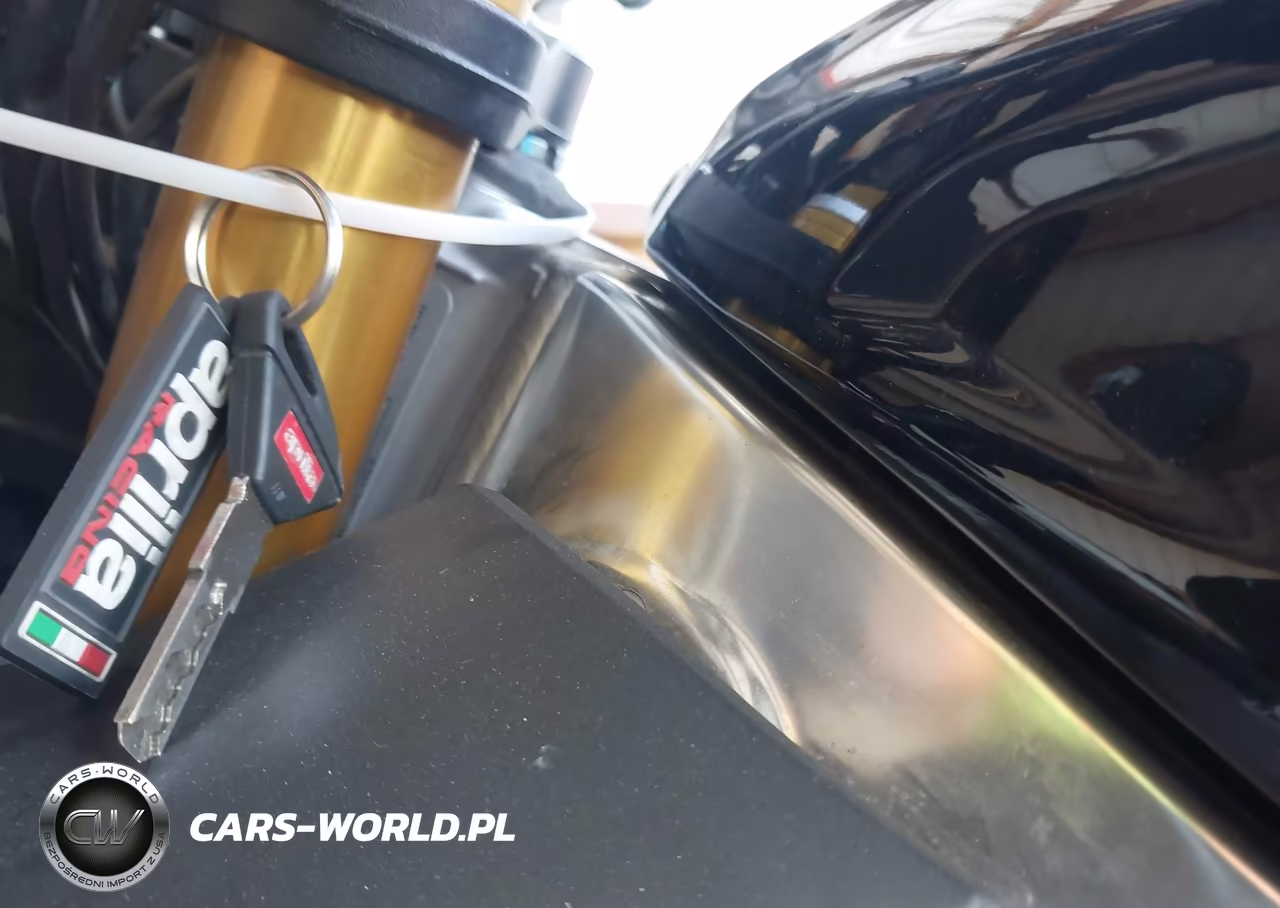 2022 Aprilia Tuono V4 1100 Factory VIN:ZD4KZUB06NS000653 - 11