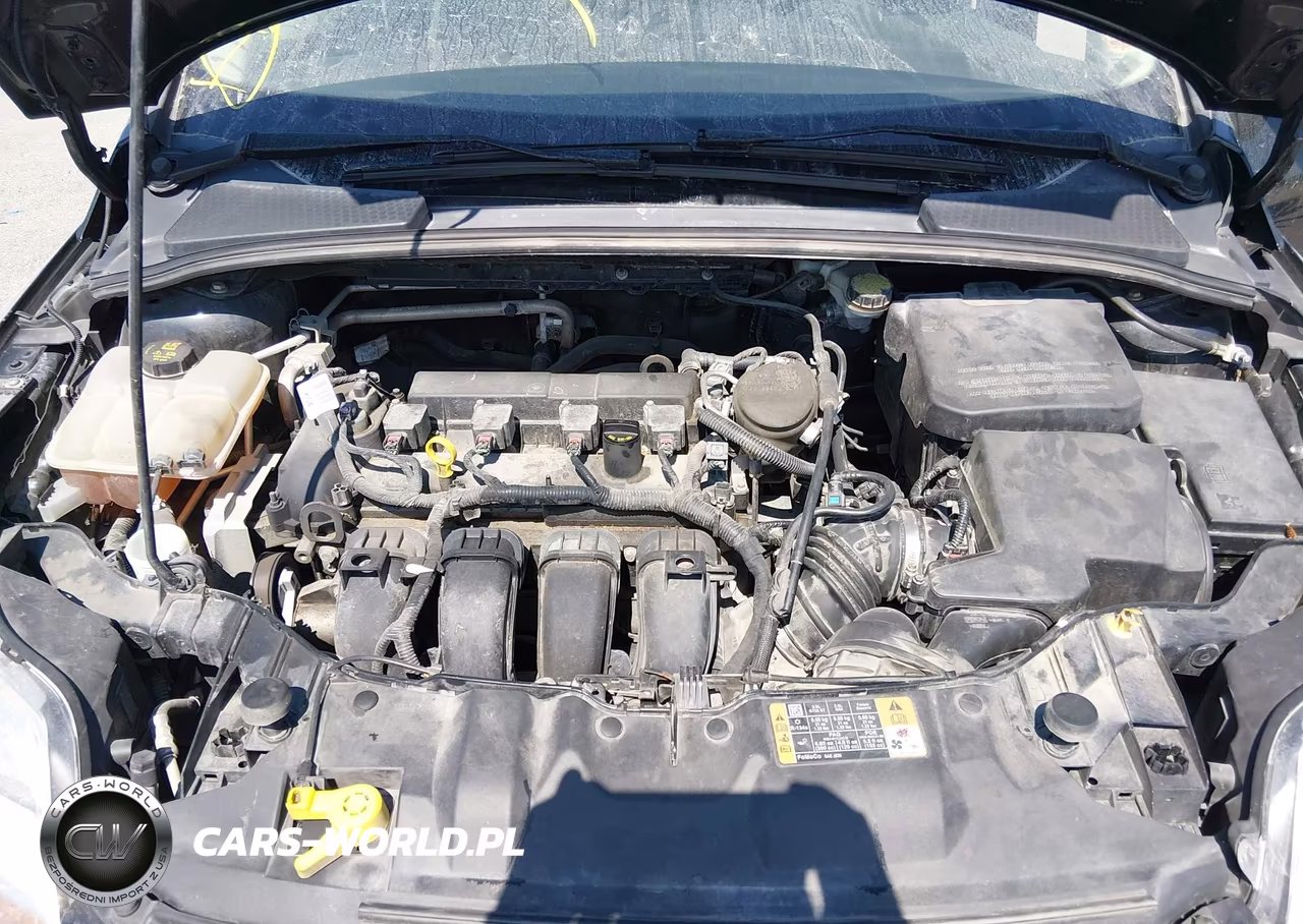 2014 Ford Focus Se VIN:1FADP3F27EL460761 - 10