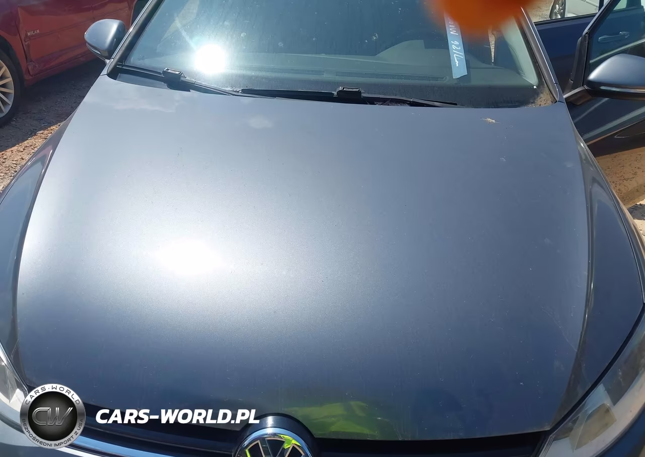2017 Volkswagen Golf Sportwagen Tsi S-Tsi Se-Tsi Sel VIN:3VWC17AU2HM527029 - 10