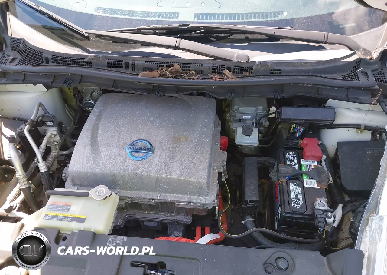 2013 Nissan Leaf Sl VIN:1N4AZ0CP7DC405043 - 10