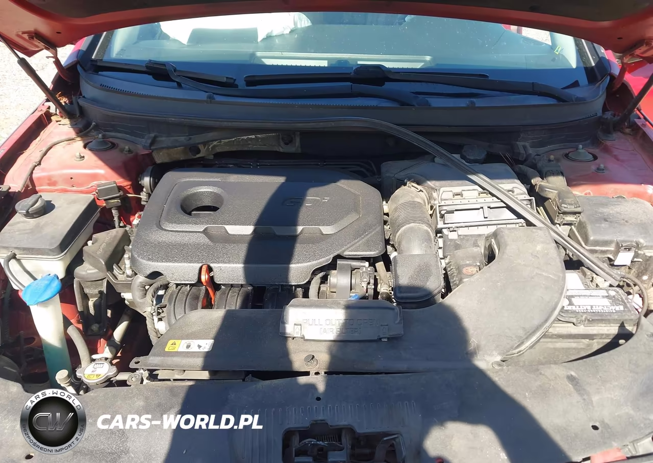 2017 Hyundai Sonata Sport VIN:5NPE34AF0HH585507 - 10