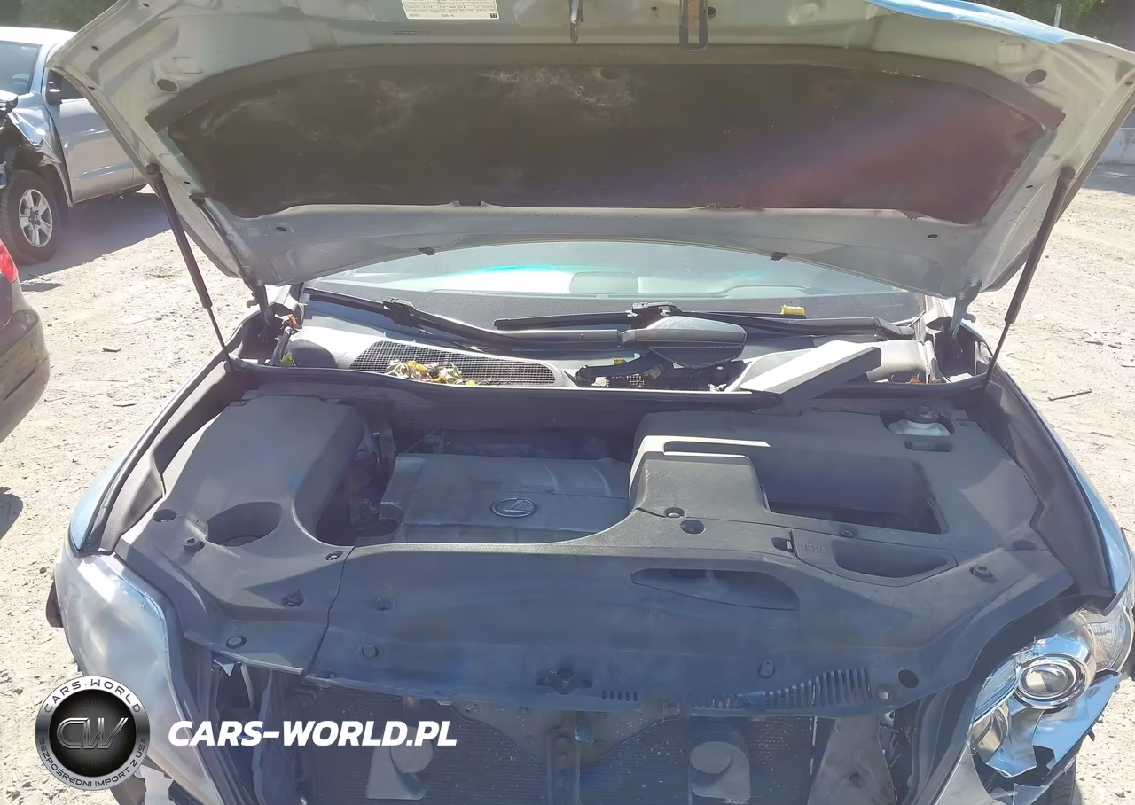 2010 Lexus Rx 350 VIN:2T2BK1BA6AC025650 - 10