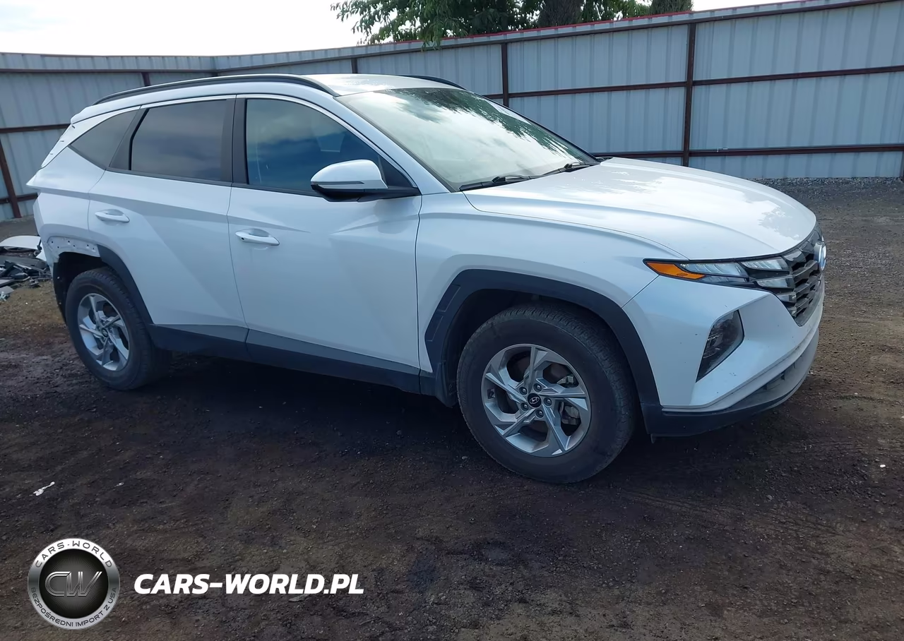2022 Hyundai Tucson Sel VIN:5NMJBCAE9NH098107 - 1