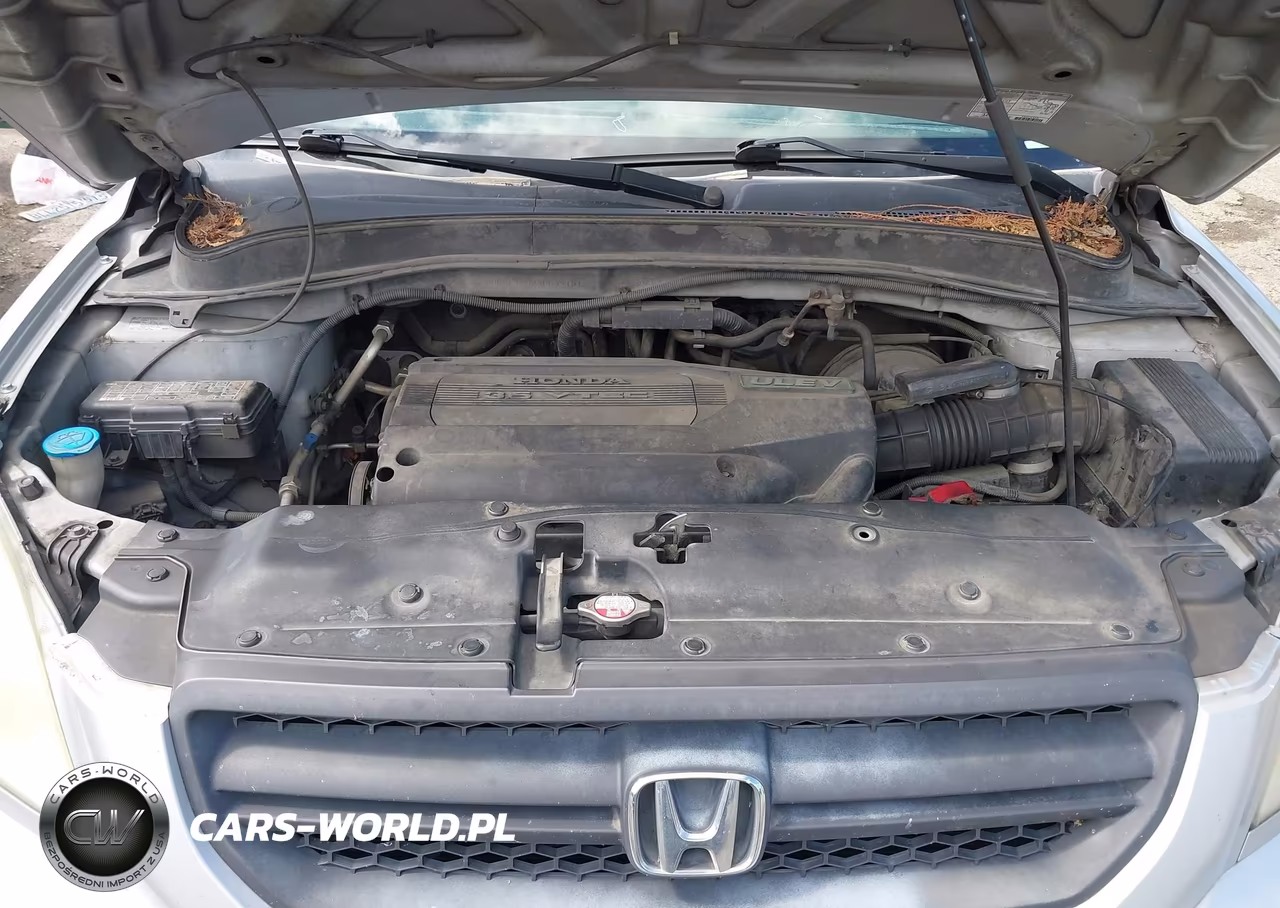 2004 Honda Pilot Ex-L VIN:2HKYF18624H539101 - 10