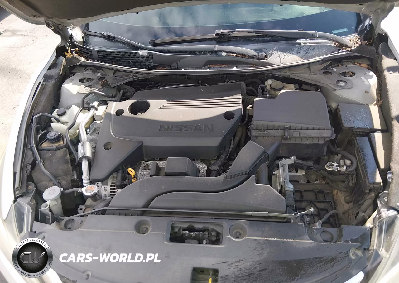 2016 Nissan Altima VIN:1N4AL3AP5GN313931 - 10