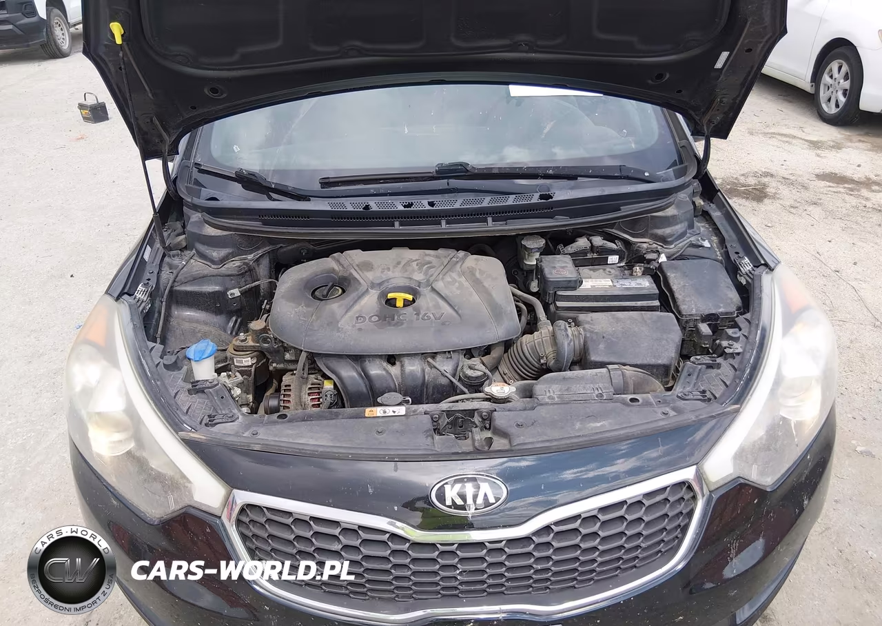 2016 Kia Forte Lx VIN:KNAFK4A65G5531459 - 10