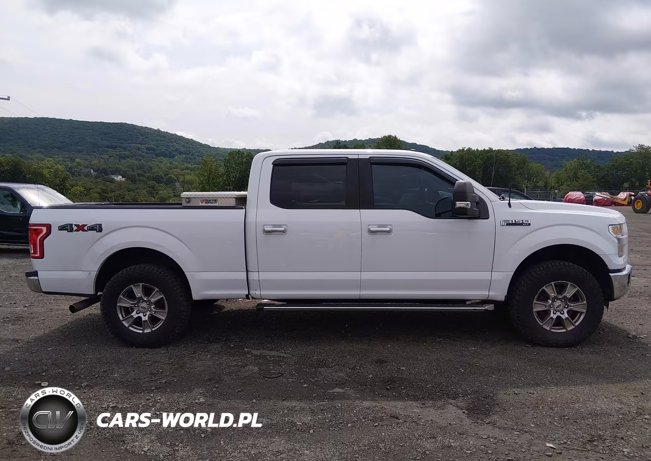 2016 Ford F-150 Xlt VIN:1FTFW1EF3GFB49070 - 13