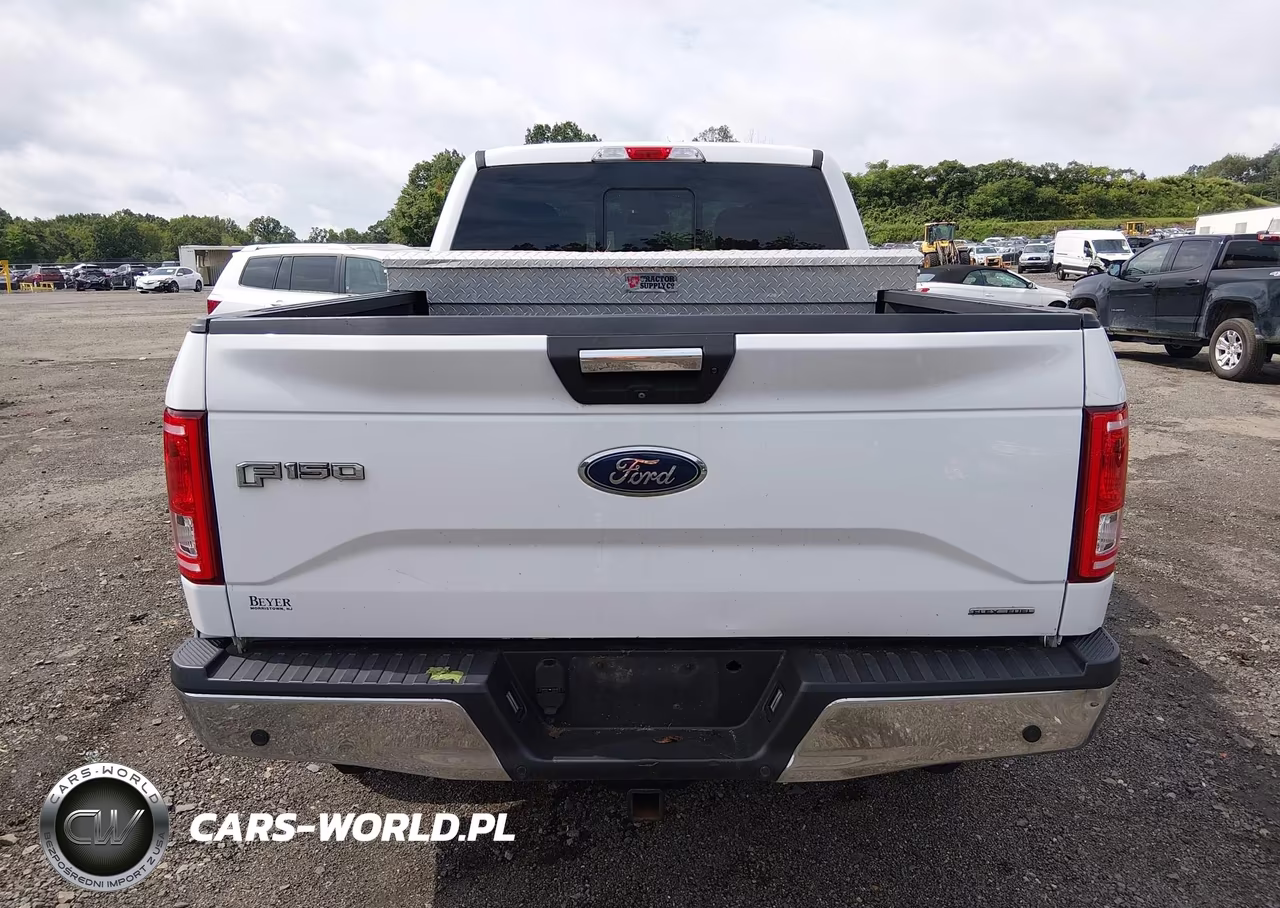 2016 Ford F-150 Xlt VIN:1FTFW1EF3GFB49070 - 16