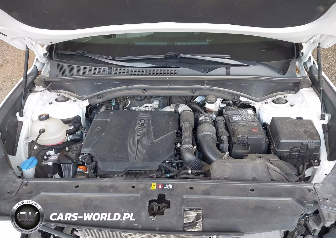 2021 Hyundai Santa Fe Limited VIN:5NMS44AL6MH317056 - 10