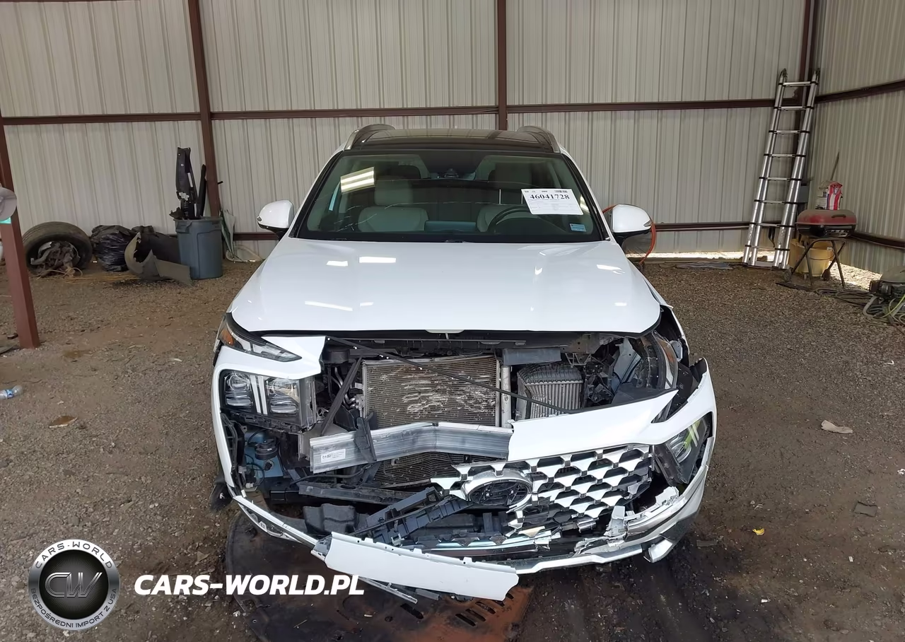 2021 Hyundai Santa Fe Limited VIN:5NMS44AL6MH317056 - 12