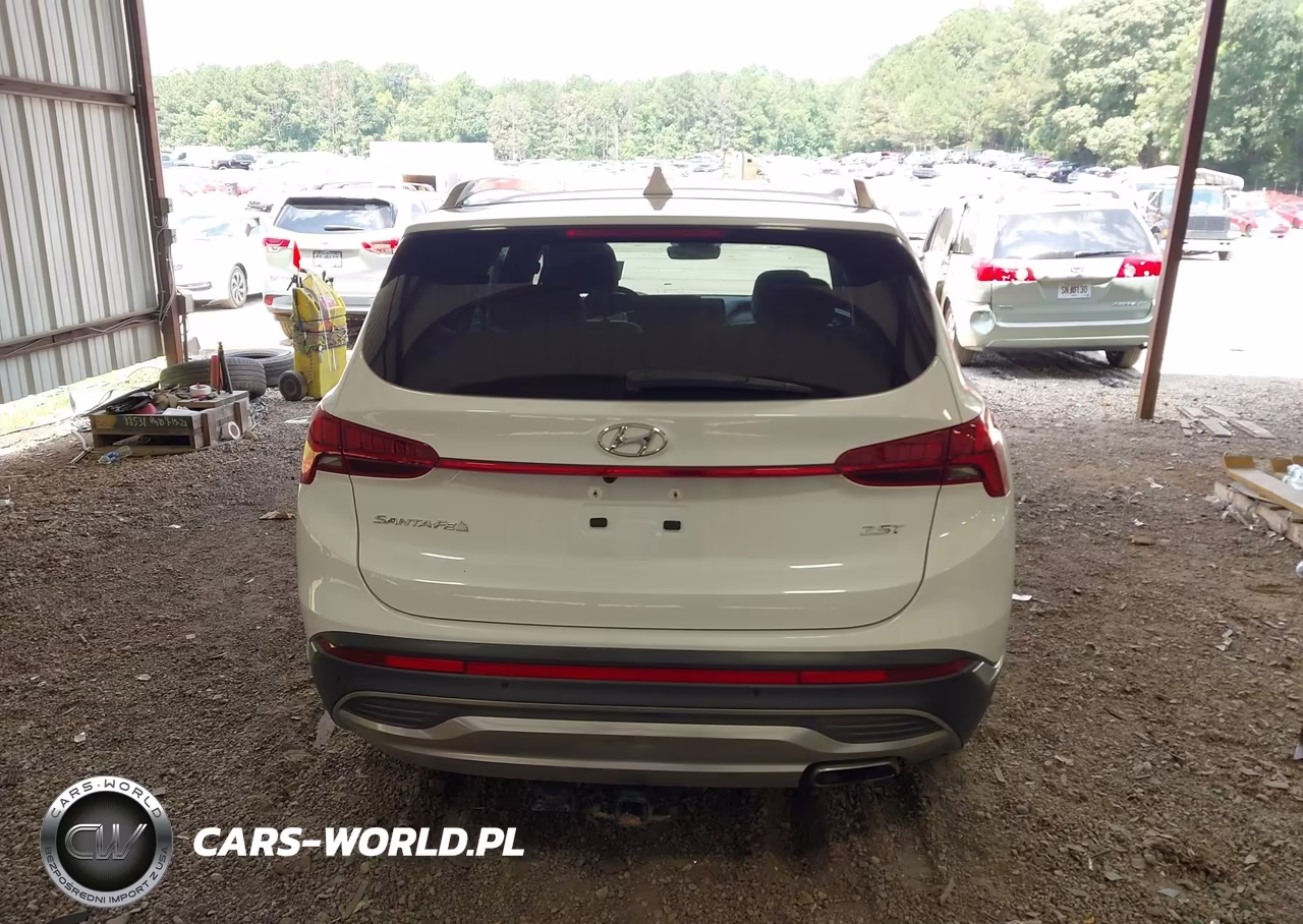2021 Hyundai Santa Fe Limited VIN:5NMS44AL6MH317056 - 16
