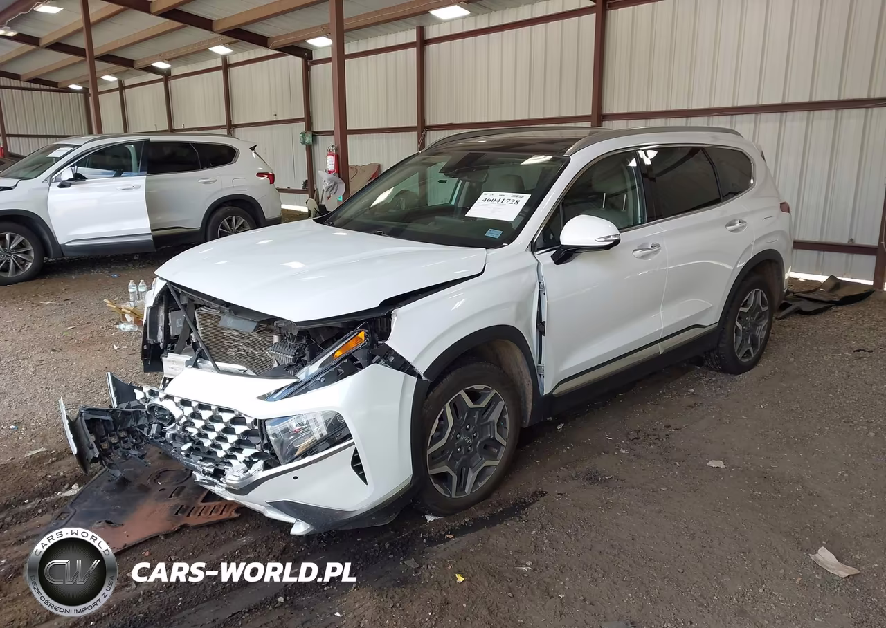 2021 Hyundai Santa Fe Limited VIN:5NMS44AL6MH317056 - 2