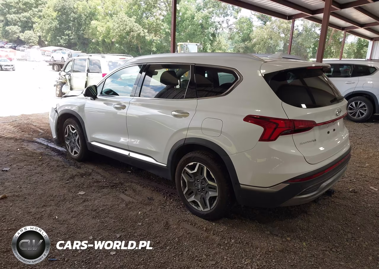 2021 Hyundai Santa Fe Limited VIN:5NMS44AL6MH317056 - 3