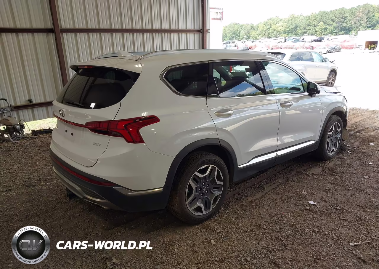 2021 Hyundai Santa Fe Limited VIN:5NMS44AL6MH317056 - 4