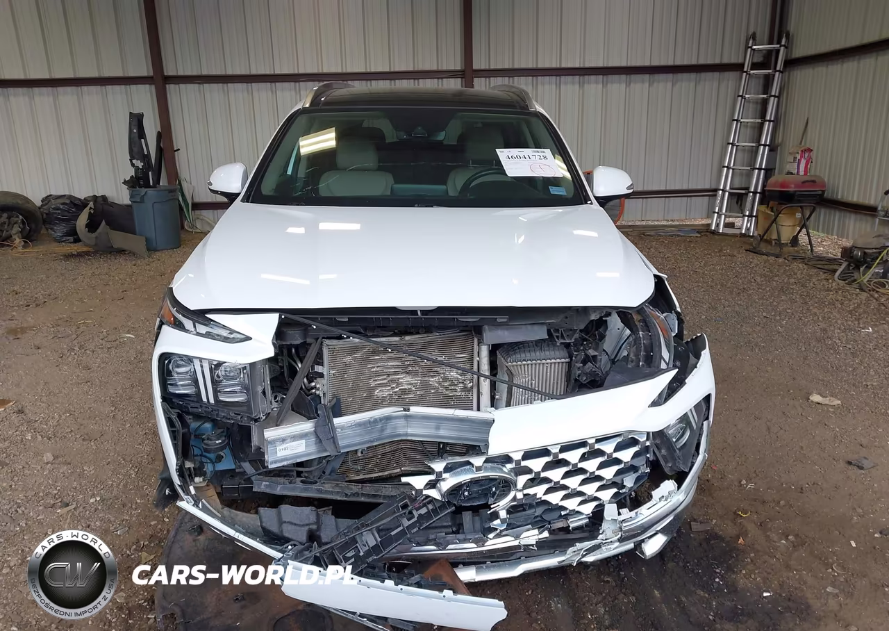 2021 Hyundai Santa Fe Limited VIN:5NMS44AL6MH317056 - 6