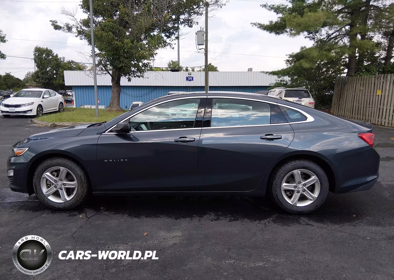 2020 Chevrolet Malibu Fwd 1Fl VIN:1G1ZC5ST7LF137563 - 17