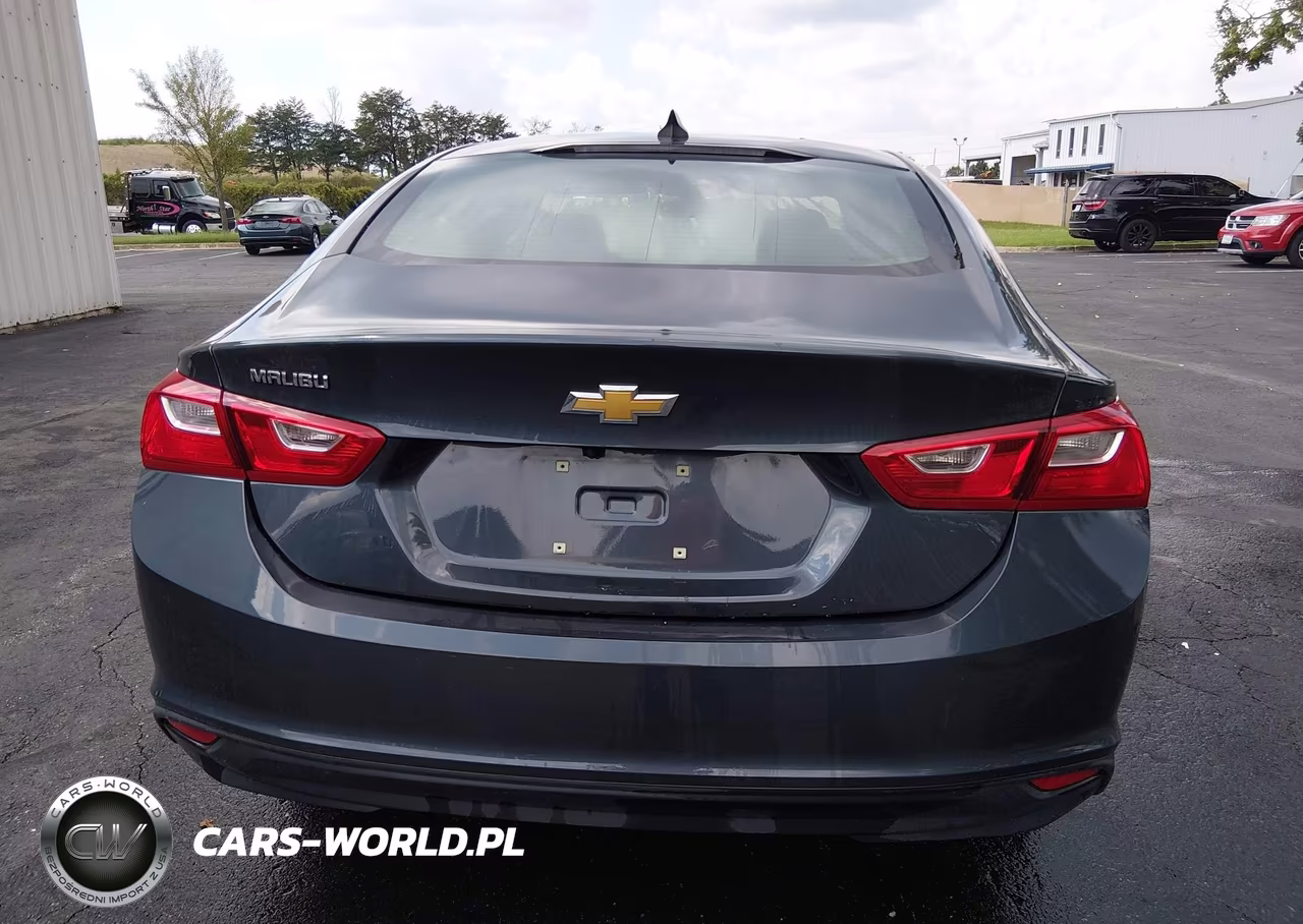 2020 Chevrolet Malibu Fwd 1Fl VIN:1G1ZC5ST7LF137563 - 19