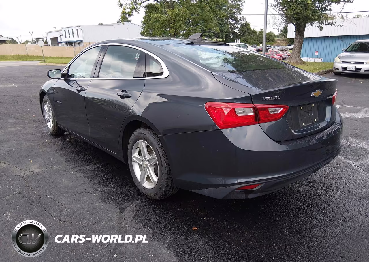 2020 Chevrolet Malibu Fwd 1Fl VIN:1G1ZC5ST7LF137563 - 3