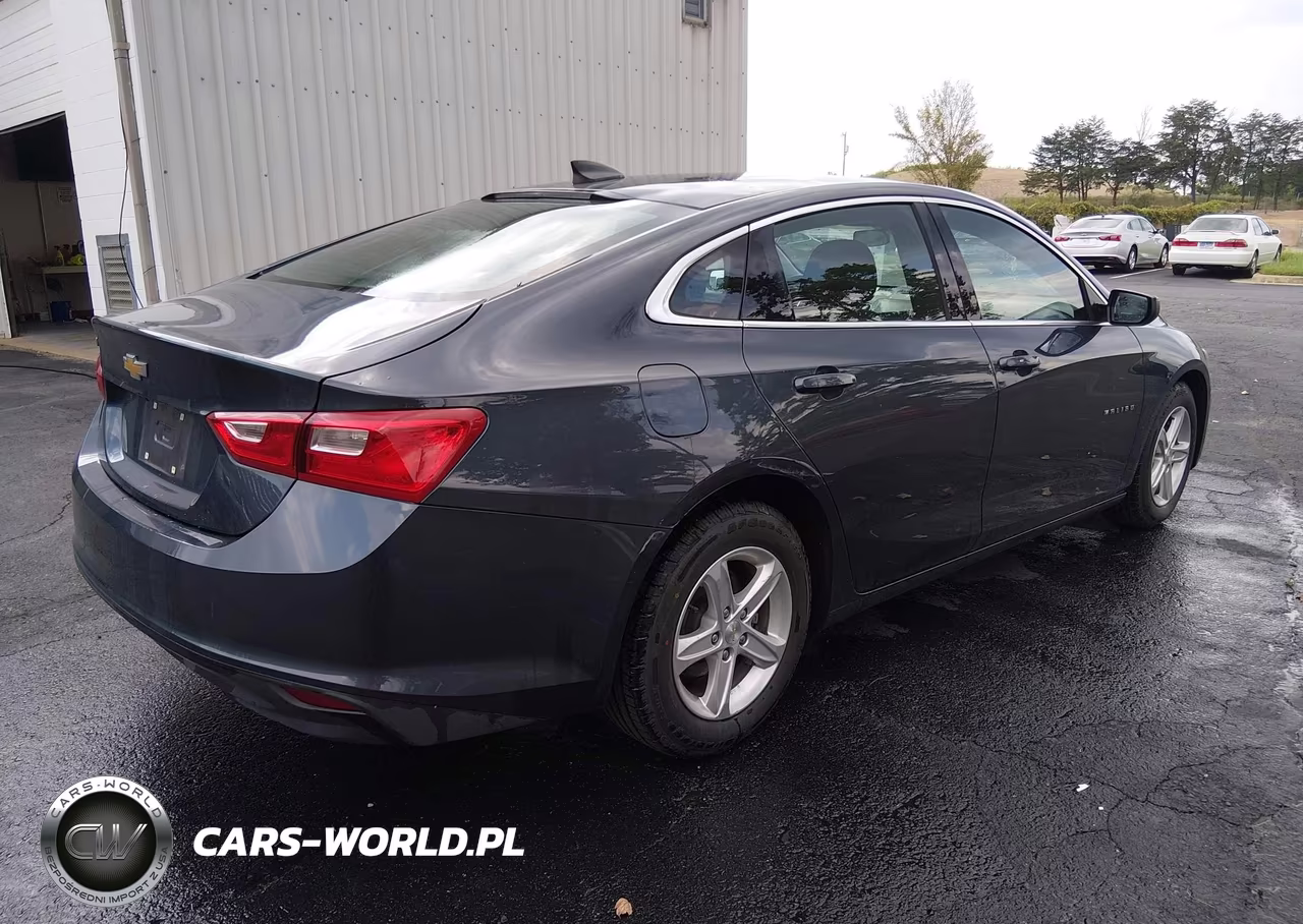 2020 Chevrolet Malibu Fwd 1Fl VIN:1G1ZC5ST7LF137563 - 4