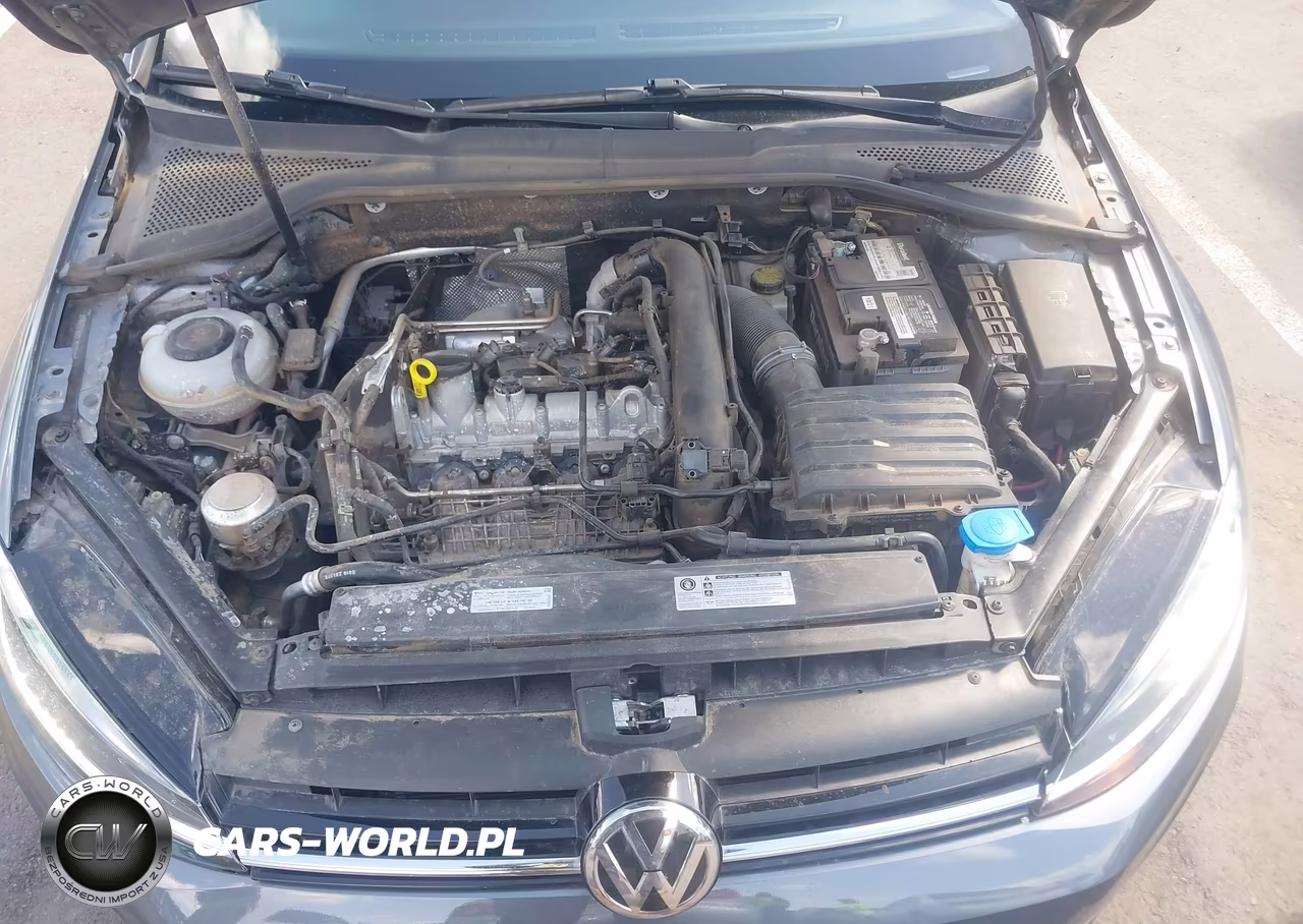 2020 Volkswagen Golf 1.4T Tsi VIN:3VWG57AU0LM005885 - 10