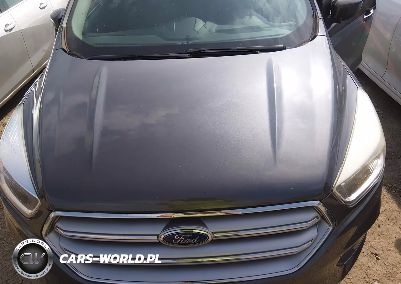 2017 Ford Escape Se VIN:1FMCU0GD1HUD74739 - 10