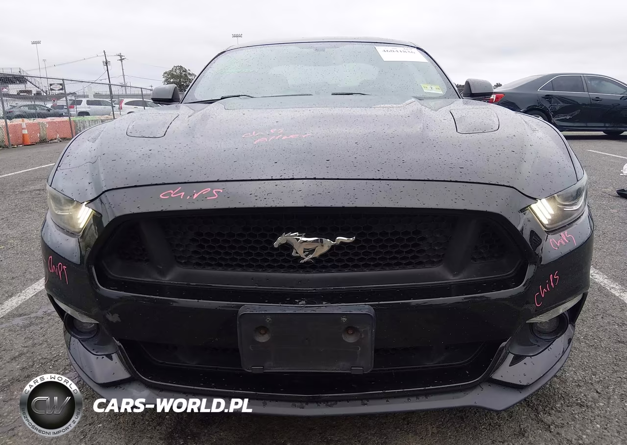 2017 Ford Mustang Gt Premium VIN:1FA6P8CF8H5265208 - 12