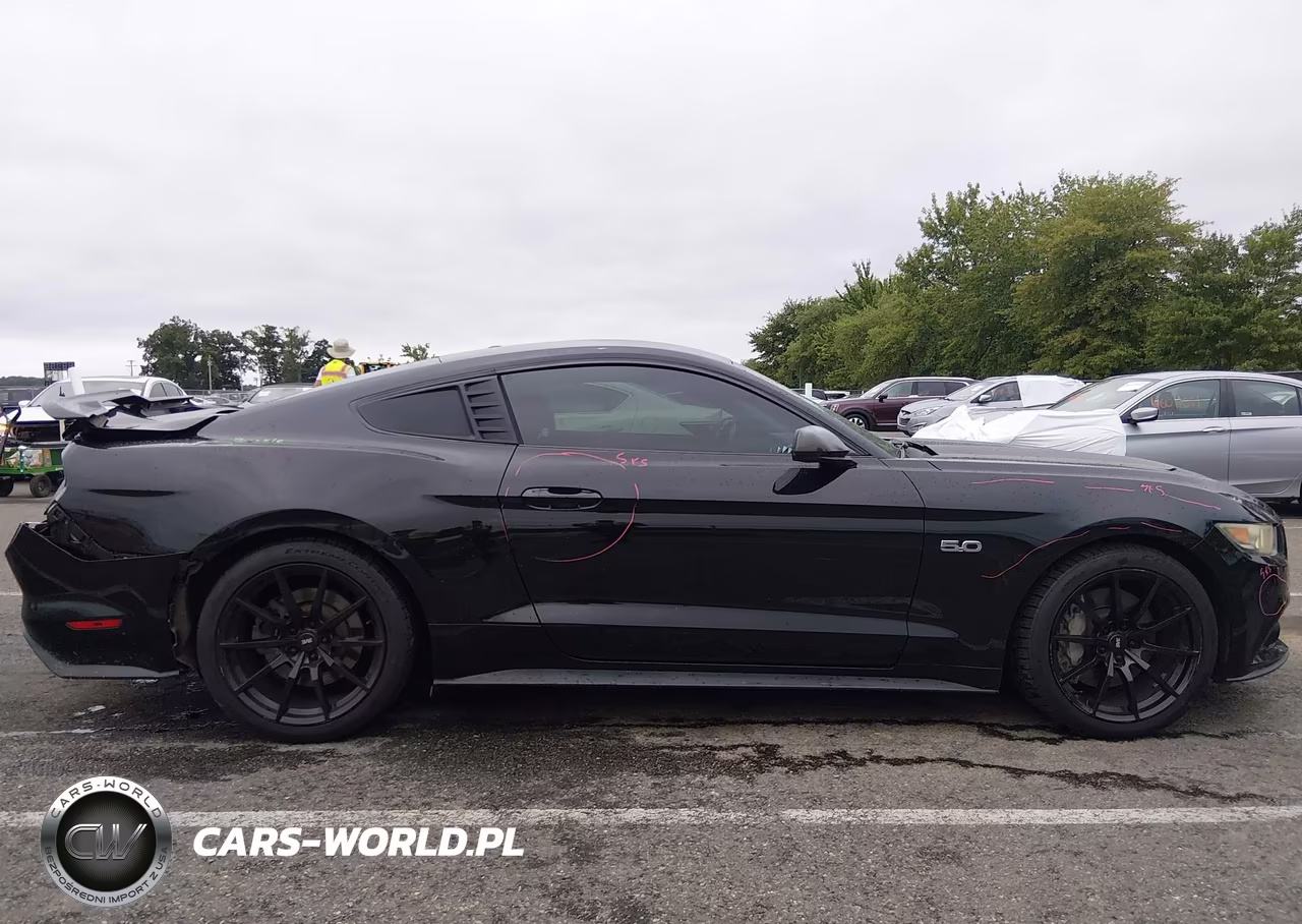 2017 Ford Mustang Gt Premium VIN:1FA6P8CF8H5265208 - 13