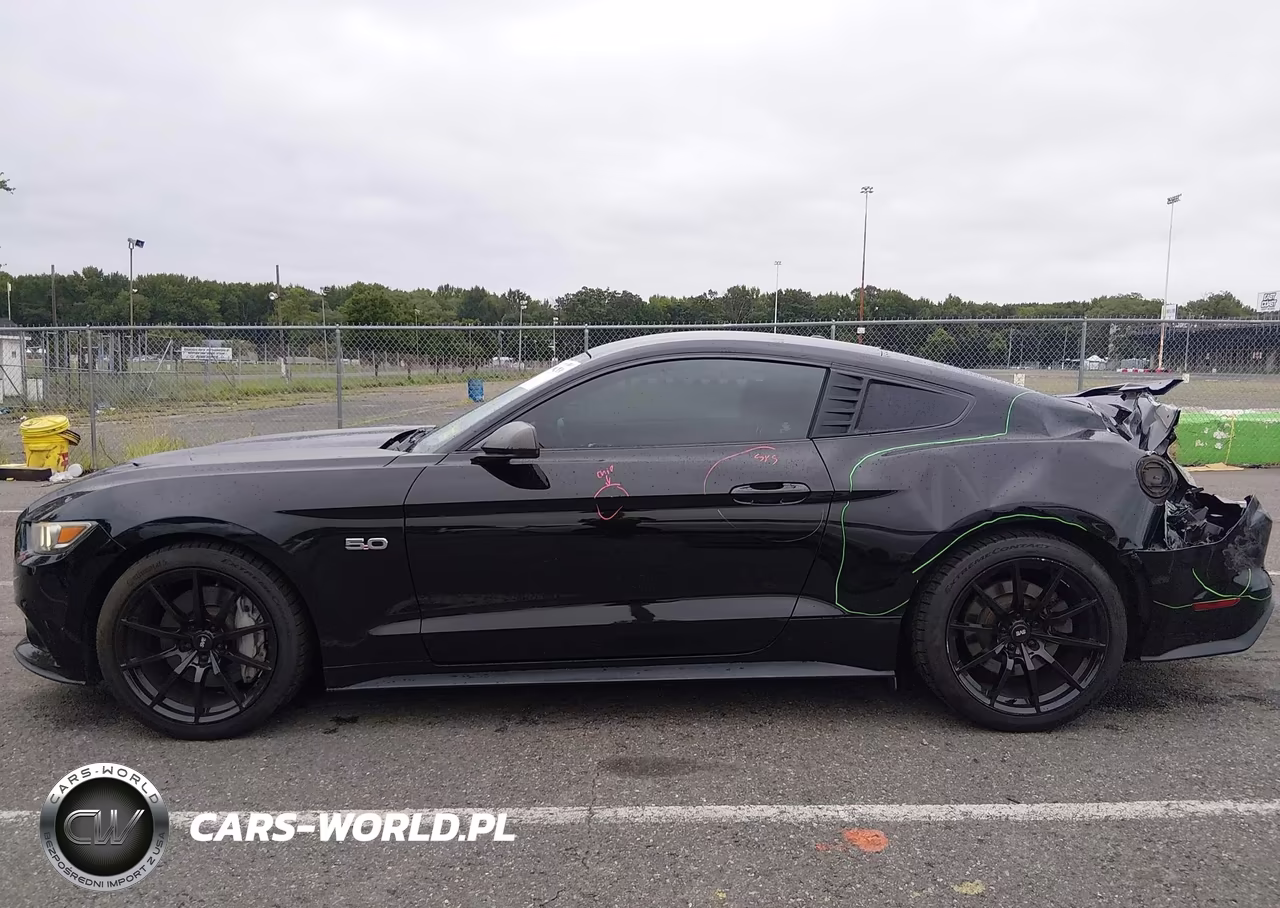 2017 Ford Mustang Gt Premium VIN:1FA6P8CF8H5265208 - 14