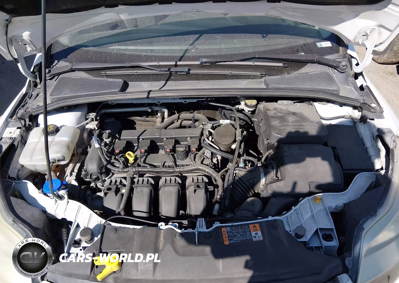 2014 Ford Focus Se VIN:1FADP3K2XEL382904 - 10
