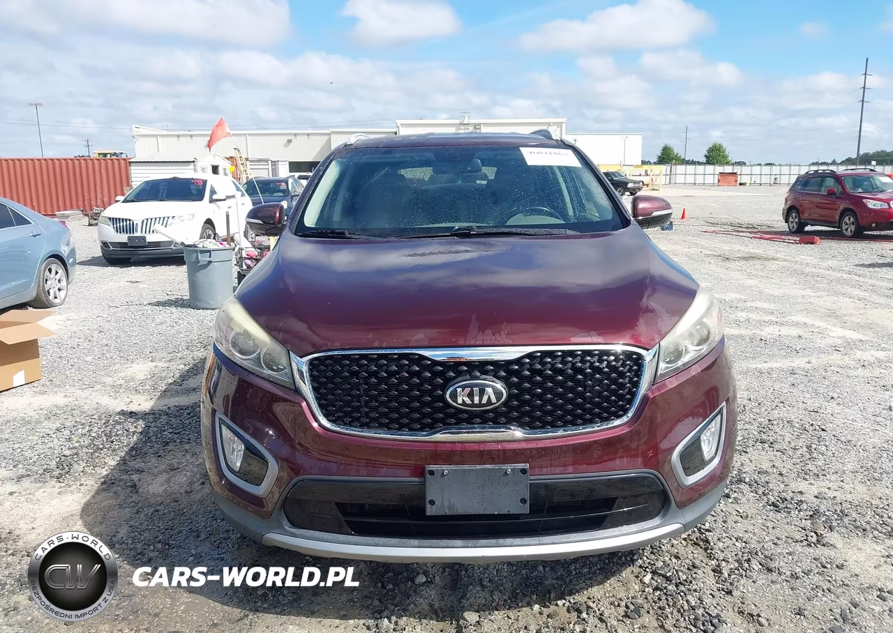 2016 Kia Sorento 3.3L Ex VIN:5XYPH4A56GG128661 - 12