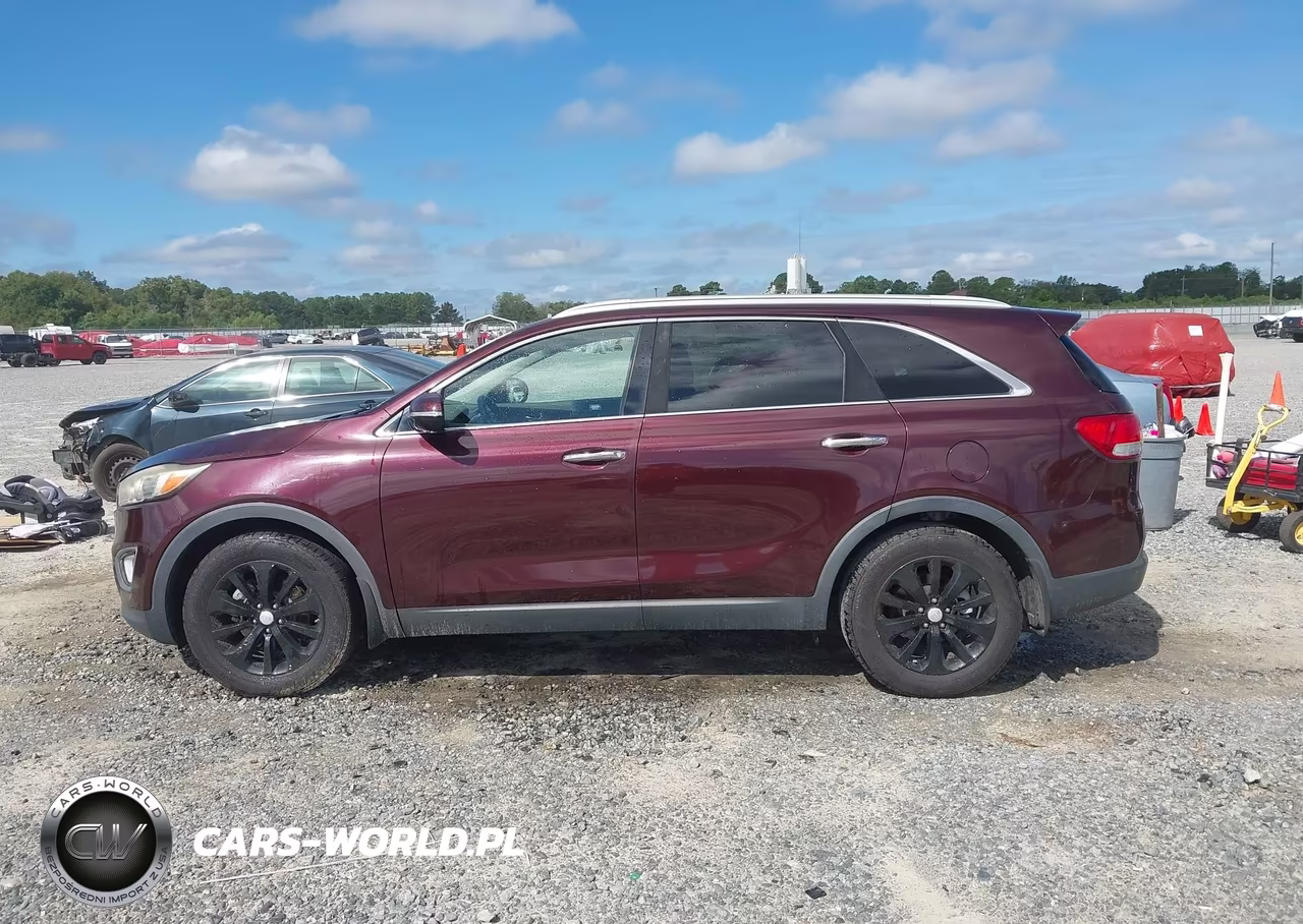 2016 Kia Sorento 3.3L Ex VIN:5XYPH4A56GG128661 - 14