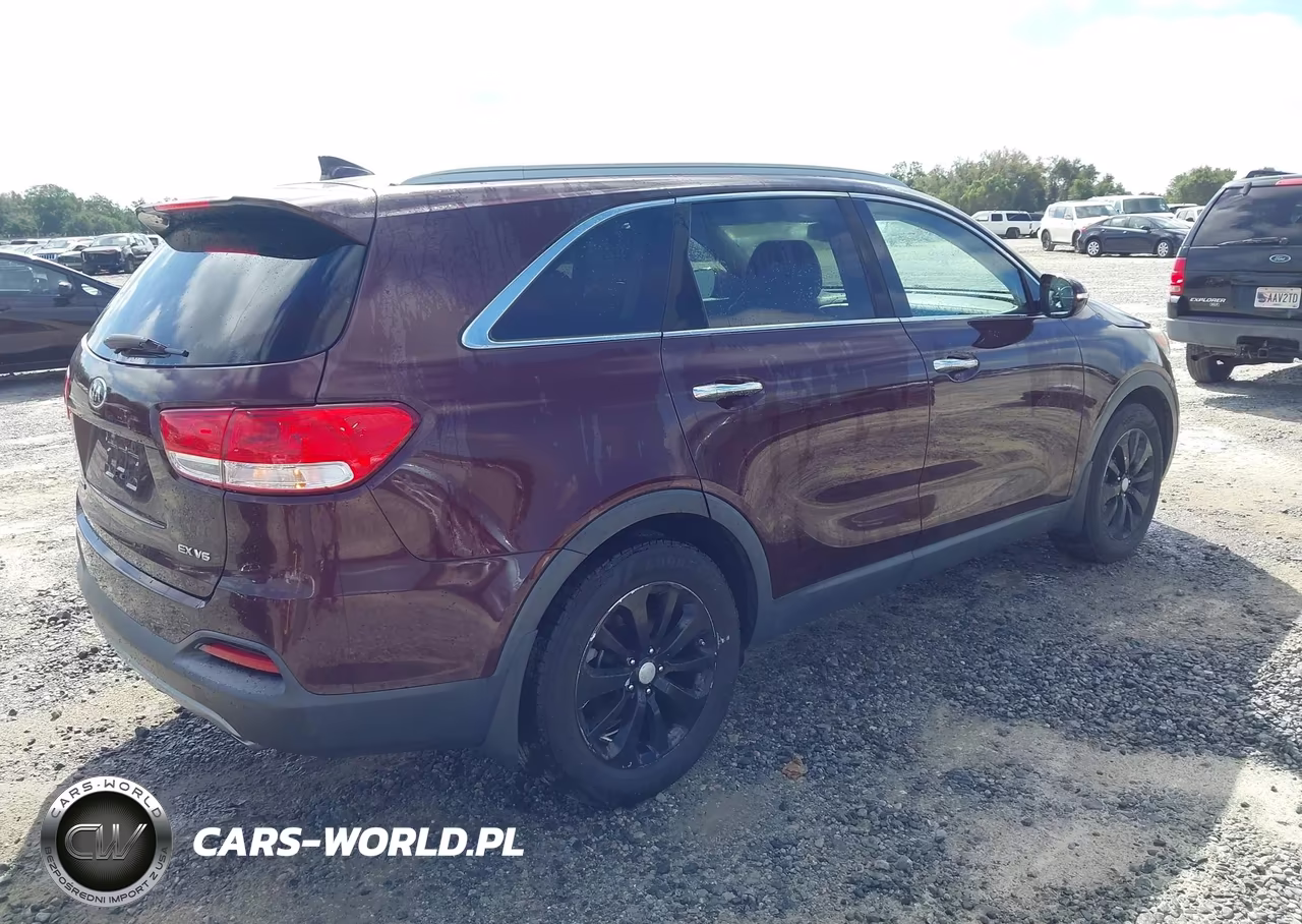 2016 Kia Sorento 3.3L Ex VIN:5XYPH4A56GG128661 - 4