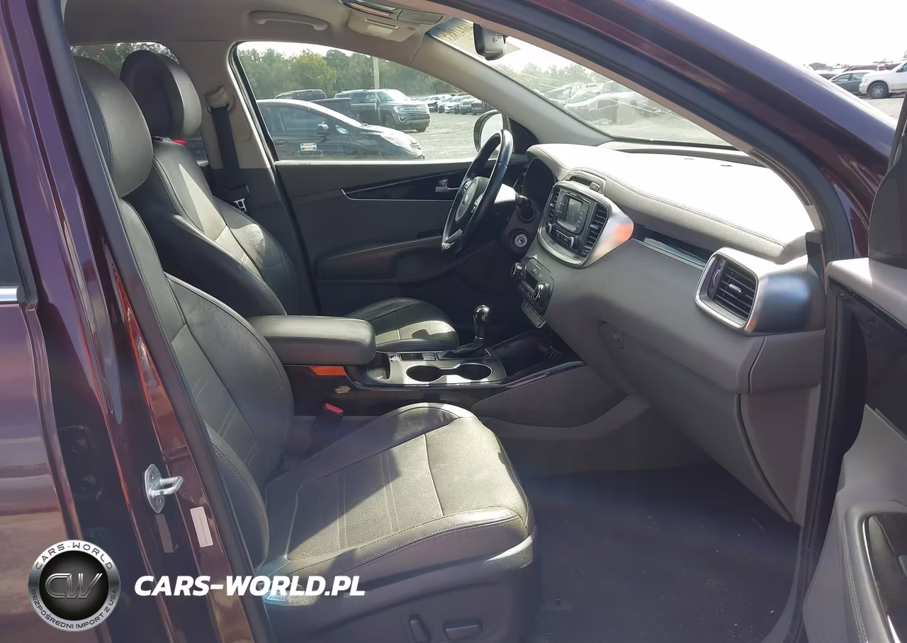 2016 Kia Sorento 3.3L Ex VIN:5XYPH4A56GG128661 - 5
