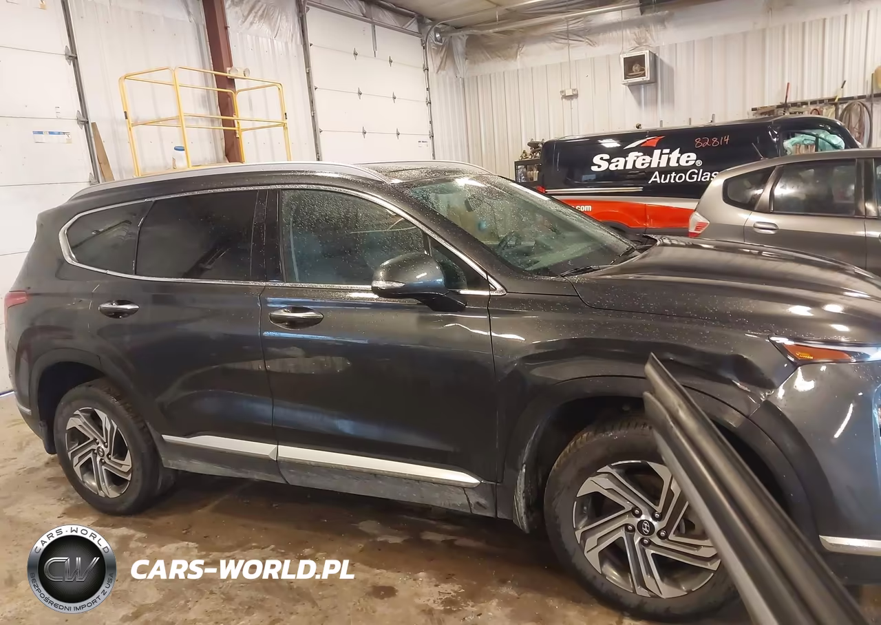 2022 Hyundai Santa Fe Sel VIN:5NMS3DAJ9NH431152 - 13