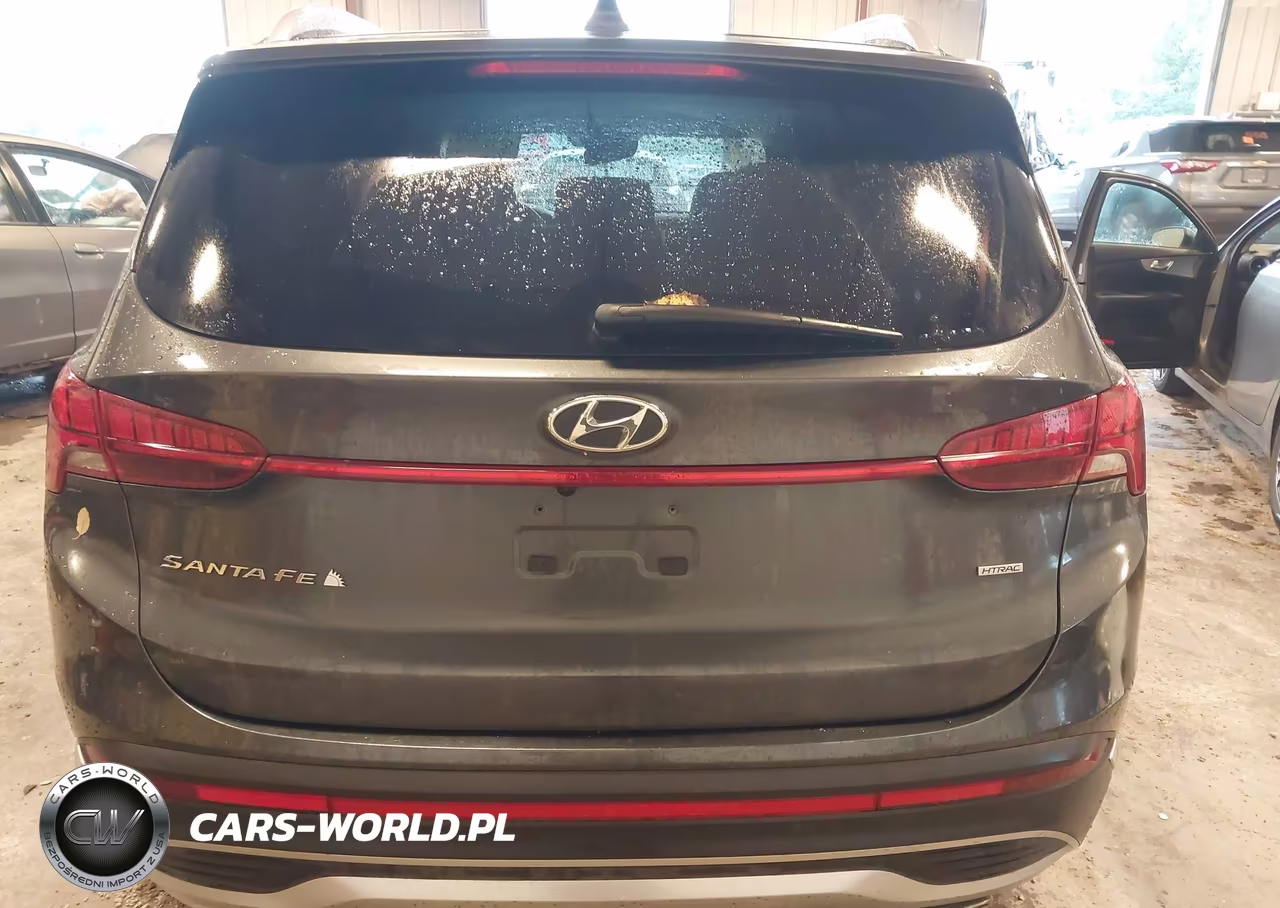 2022 Hyundai Santa Fe Sel VIN:5NMS3DAJ9NH431152 - 16