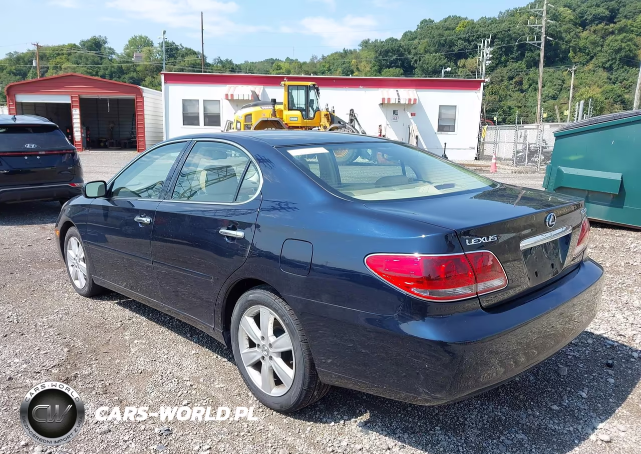 2005 Lexus Es 330 VIN:JTHBA30G755095900 - 3