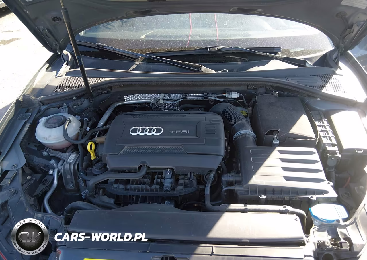 2018 Audi A3 2.0T Premium-2.0T Tech Premium VIN:WAUB8GFF8J1087838 - 10