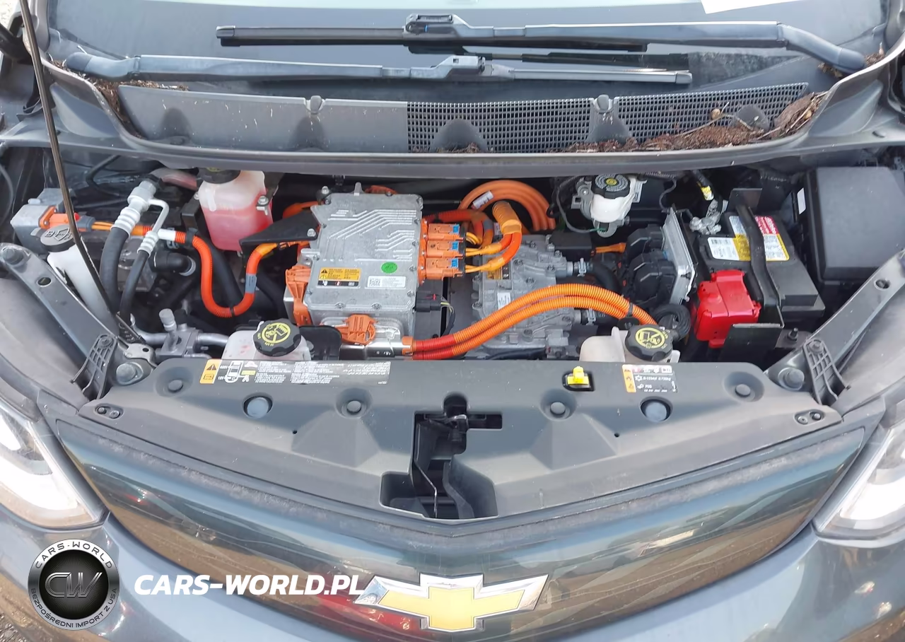 2019 Chevrolet Bolt Ev Lt VIN:1G1FY6S06K4134647 - 10
