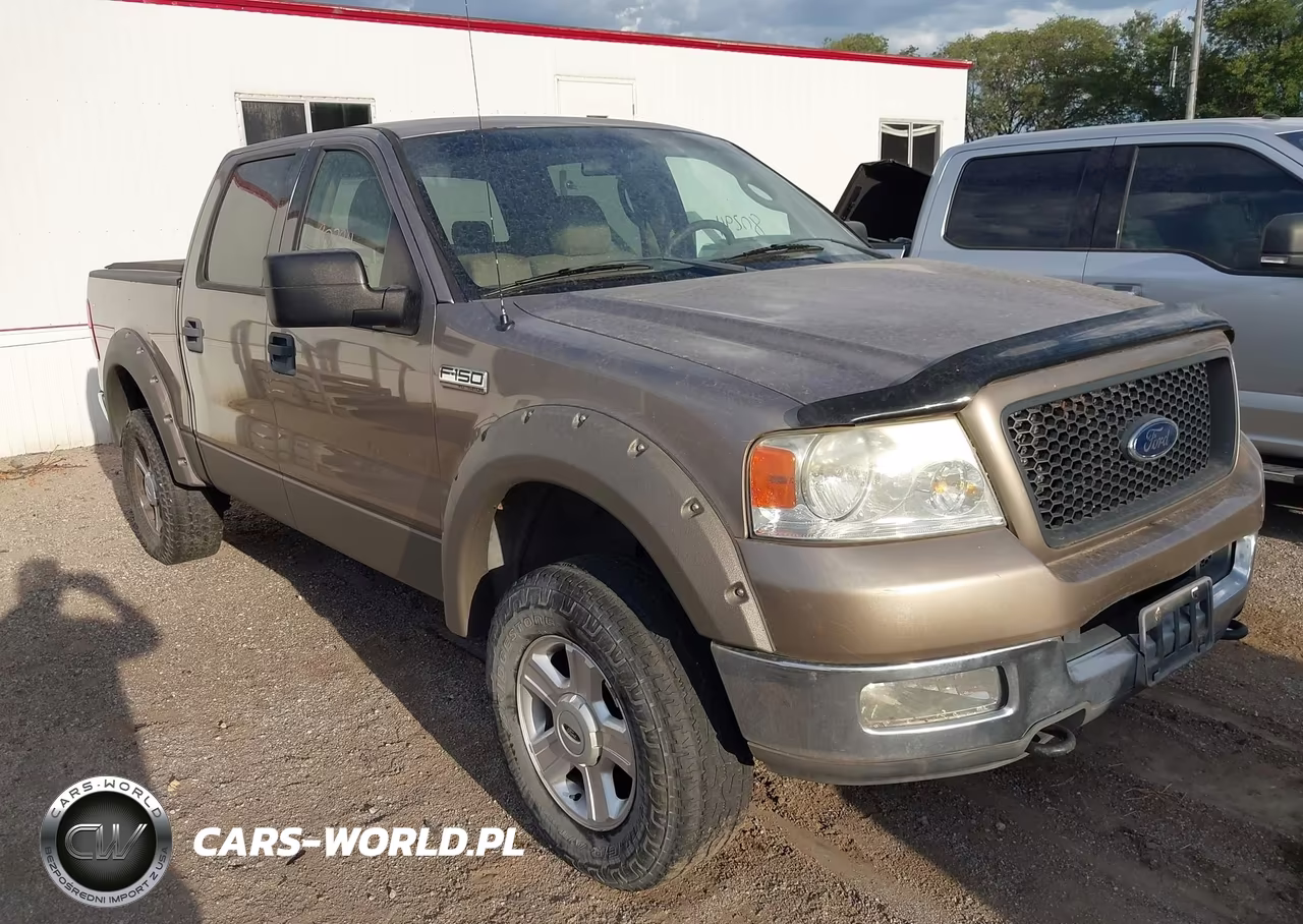 2004 Ford F-150 Xlt VIN:1FTRW14W84KB47171 - 12