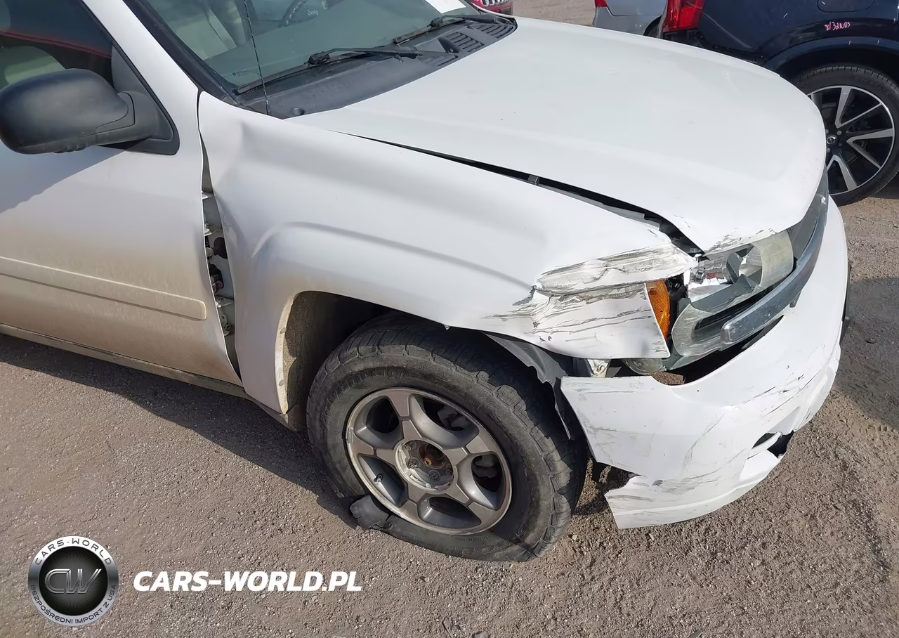 2008 Chevrolet Trailblazer Fleet VIN:1GNDT13SX82171390 - 12
